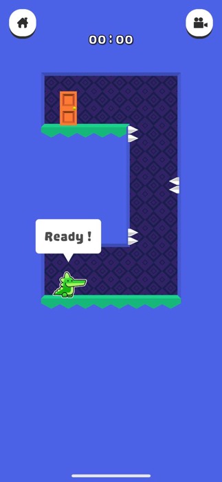 Safari Forever Obstacles