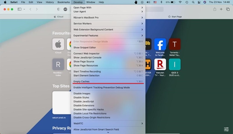 Clicking on "Empty Cache" option in Develop 