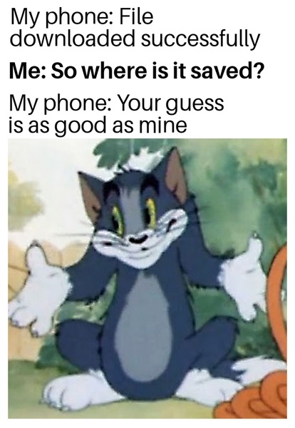 Meme highlighting how hard it can be to find downloaded files on Android.