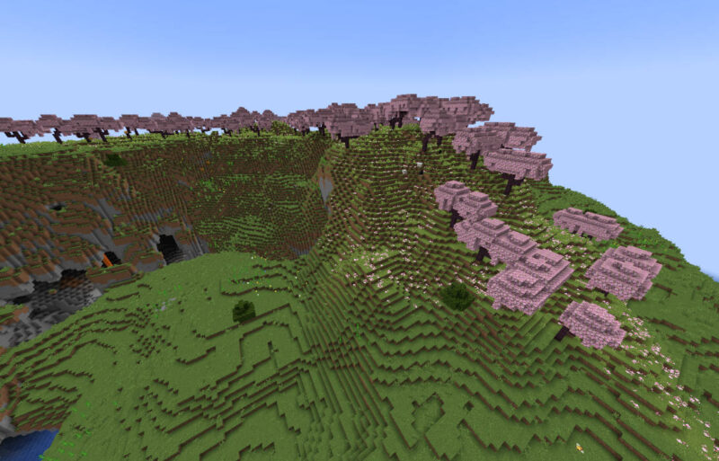 Large Cherry Grove biome.