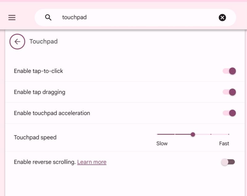 Chromebook Touchpad Settings