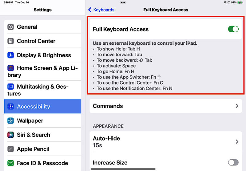 Connect Apple Magic Keyboard Ipad Full Keyboard Access