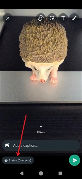 Tapping on Status button in WhatsApp for Android.