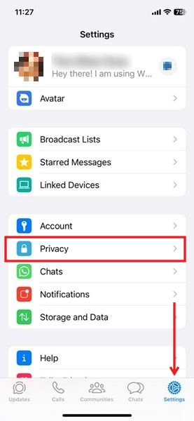 Navigating to Privacy in WhatsApp for iOS.