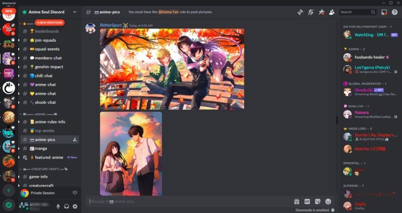 Anime Soul server view on Discord.
