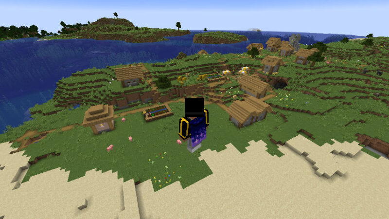 Minecraft village.