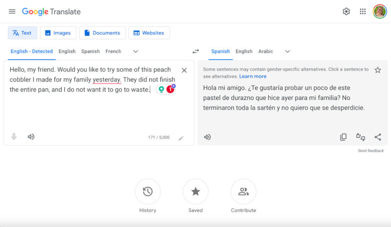 Free Online Translator Google Translate