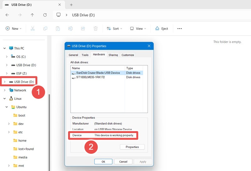 "This device is working properly" status viewed on a USB drive's Properties.