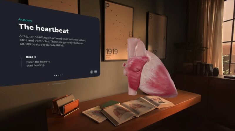 An anatomically correct heart floating in space with a board behind it explaining what a heartbeat is.