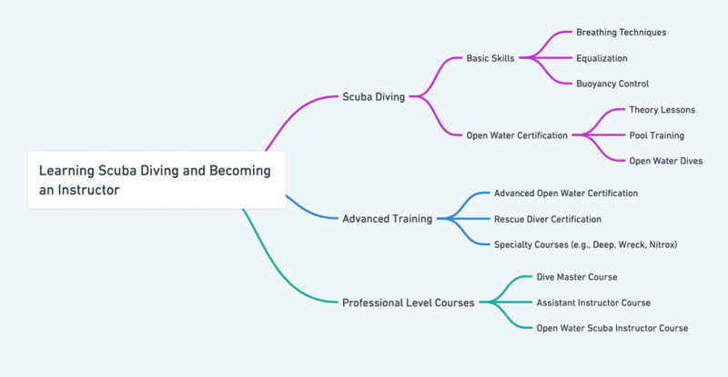 Whimsicals Ai Mapped My Journey Towards Earning A Scuba Diving License