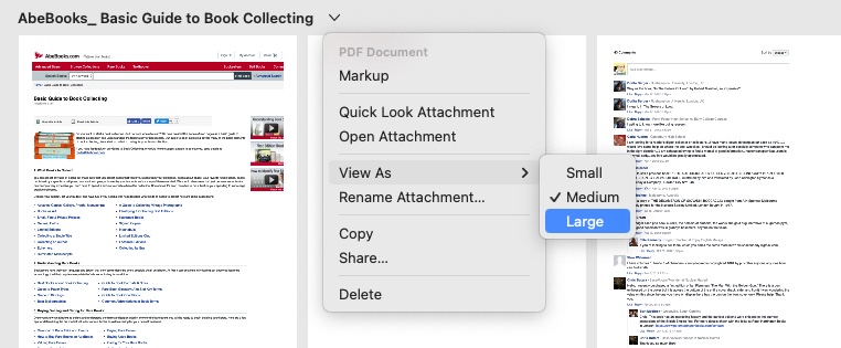 View As menu in Apple Notes to change PDF viewing size from Small to Medium or Large.
