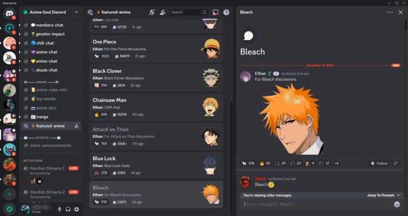 Anime Soul server view on Discord.