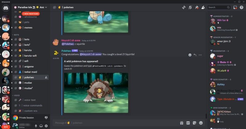 Paradise Isle server view on Discord.