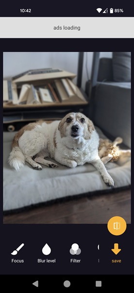 Simple bokeh effect in Auto Blur app. 