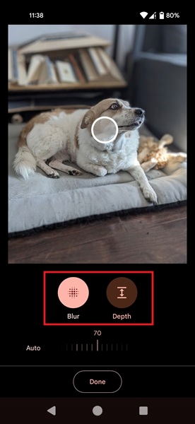 Playing with Blur and Depth in Google Photos app. 