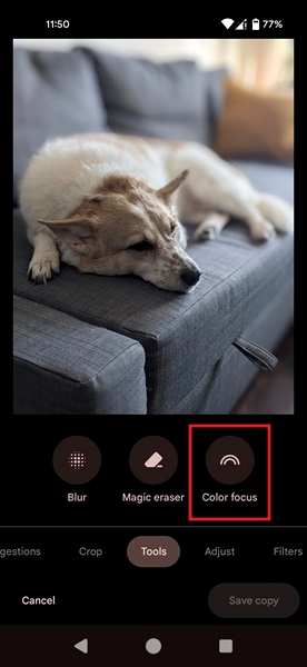 Reversing the bokeh effect in photo using Google Photos app. 