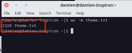 Linux Count Characters