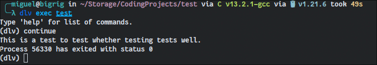 Delve debugger running a program with rudimentary code.
