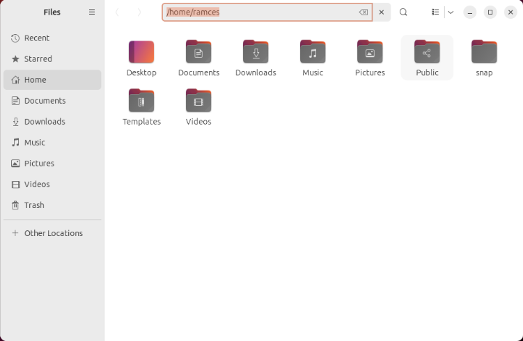 A screenshot of a Nautilus with a text file path.