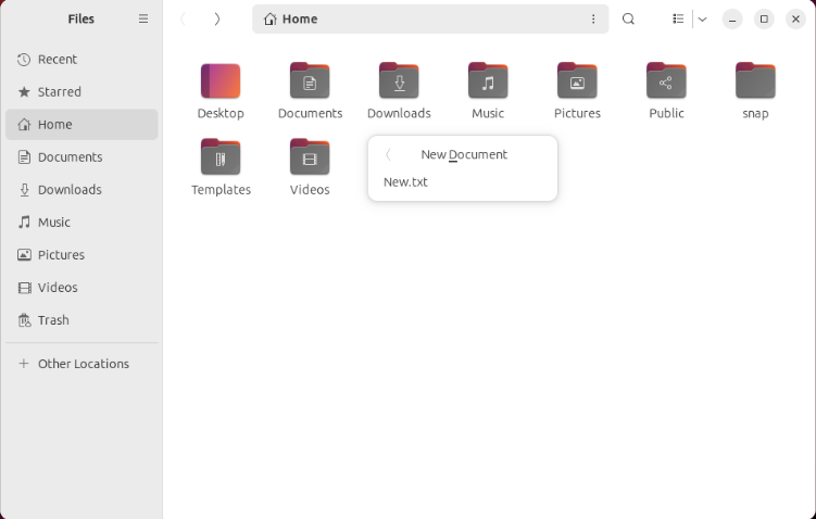 A screenshot showing the new text file template in Nautilus.