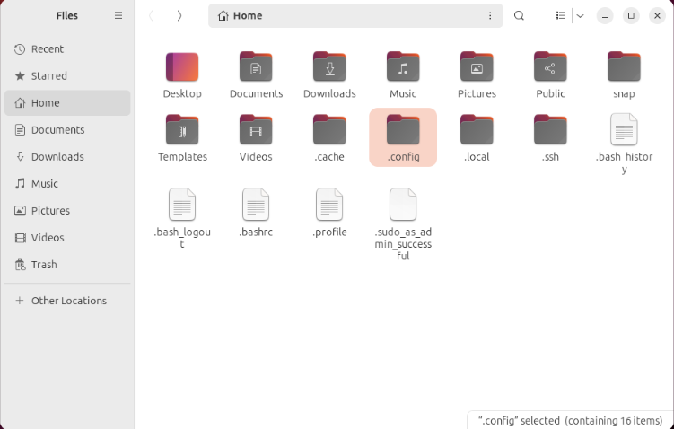 A screenshot showing the hidden files in the home directory.