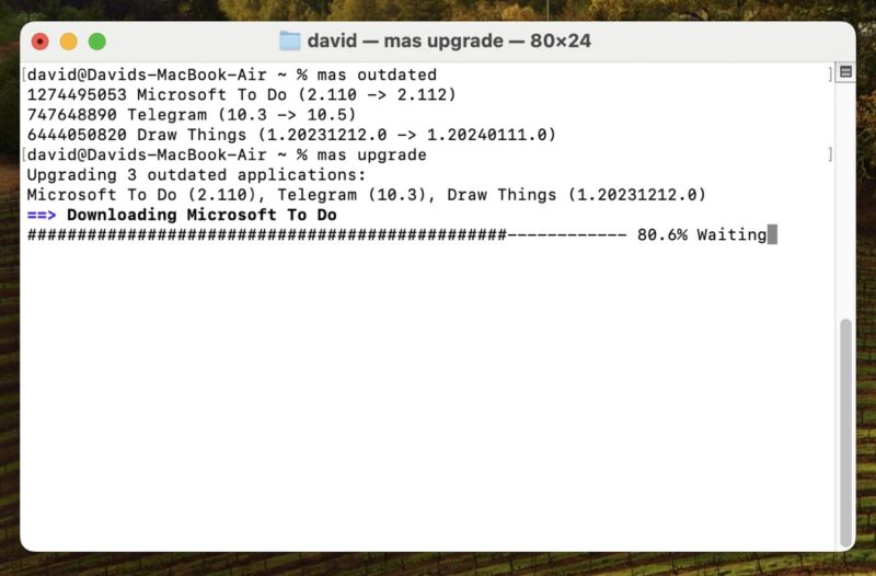 Mas Updating All Outdated Apps