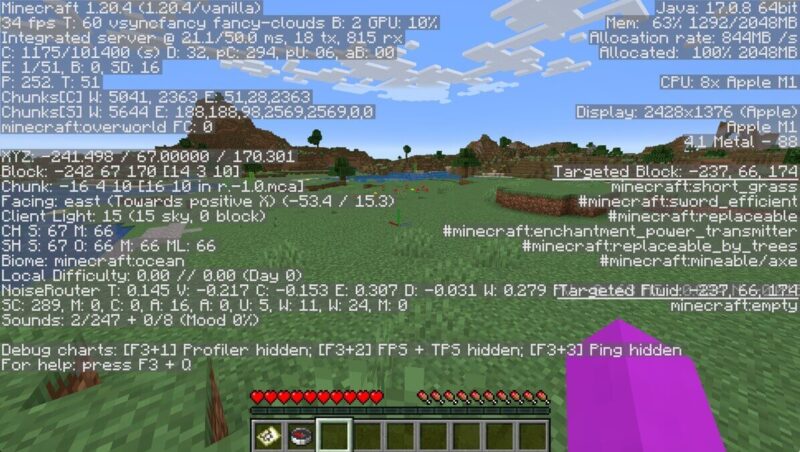 Minecraft Debug Screen