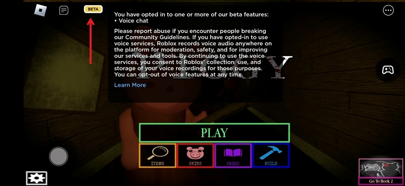 Viewing the Beta tag in Roblox game. 