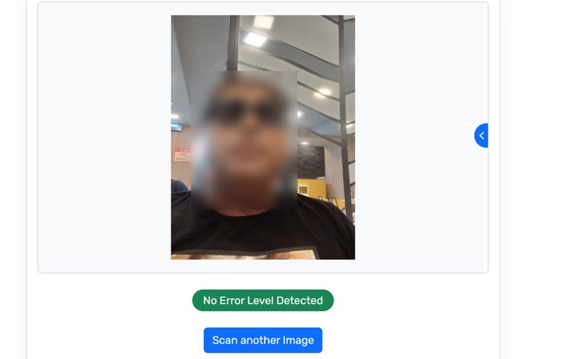 Failure to detect a fake composite image by online deepfake detection software. 