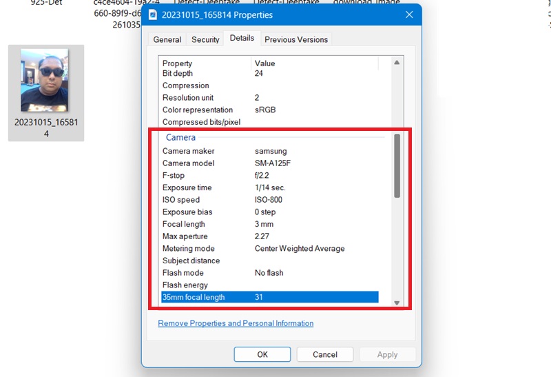 Checking a photo's metadata Properties in Windows. 