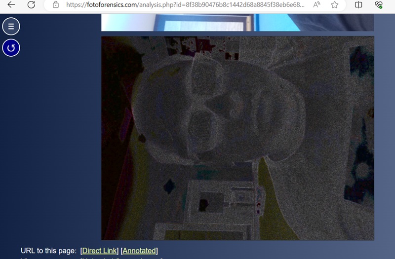 No error detected using ELA in Foto Forensics app. 