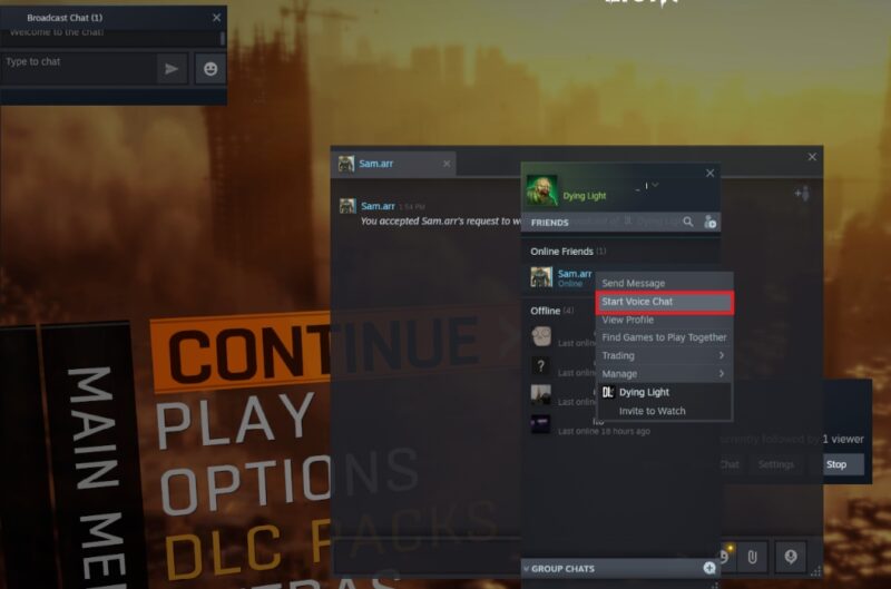 Start voice chat with a friend on Steam broadcast