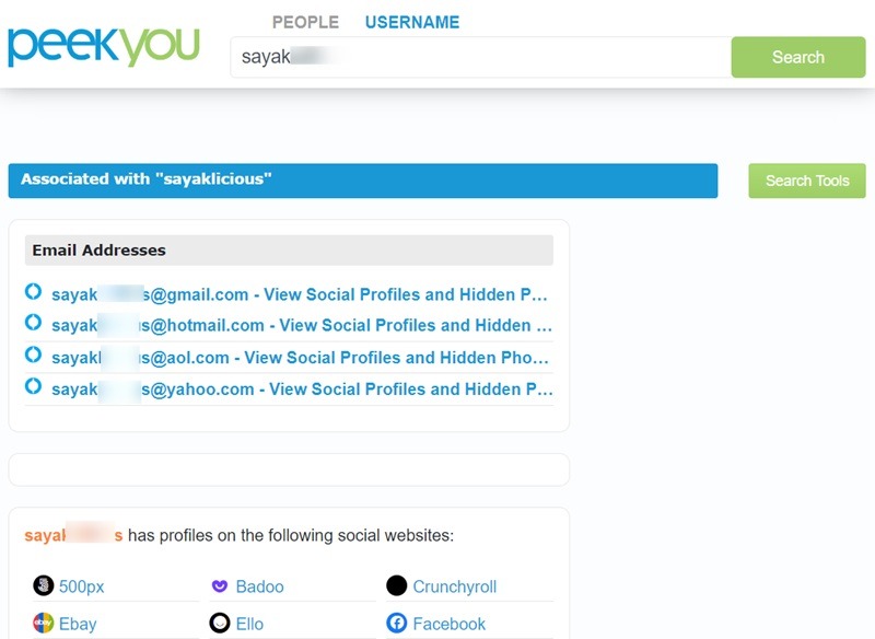 Searching username on different social media websites using Peek You.