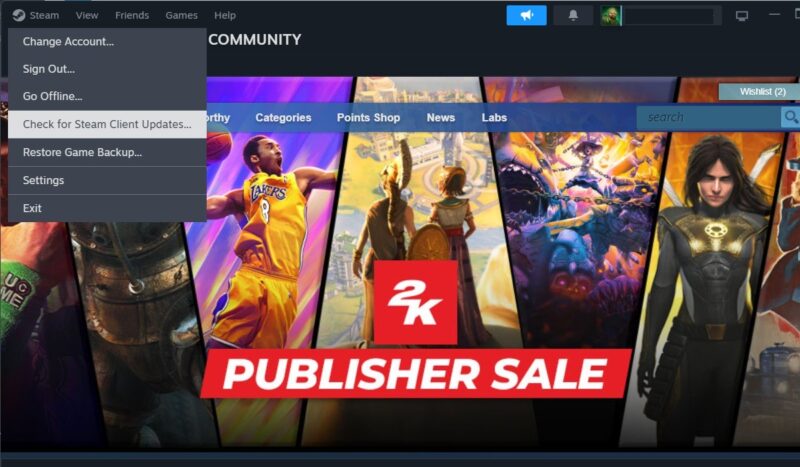 Update Steam client