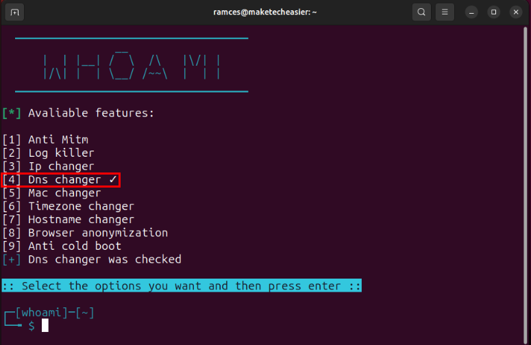 A terminal showing the DNS changer module toggled in Whoami.