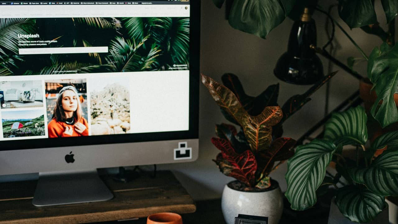 Step Aside Google – The Best Image Search Engines to Find the Images You Want