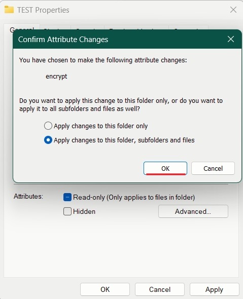 Opting for "Apply changes to this folder, subfolders and files" in confirmation window for encryption. 