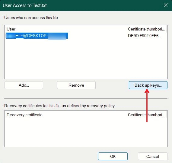 Clicking on "Back up keys" button in User Access window.