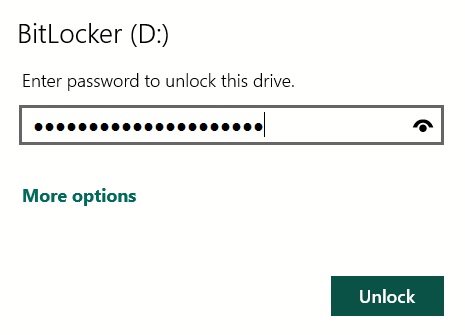Entering password to access BitLocker-encrypted drive.