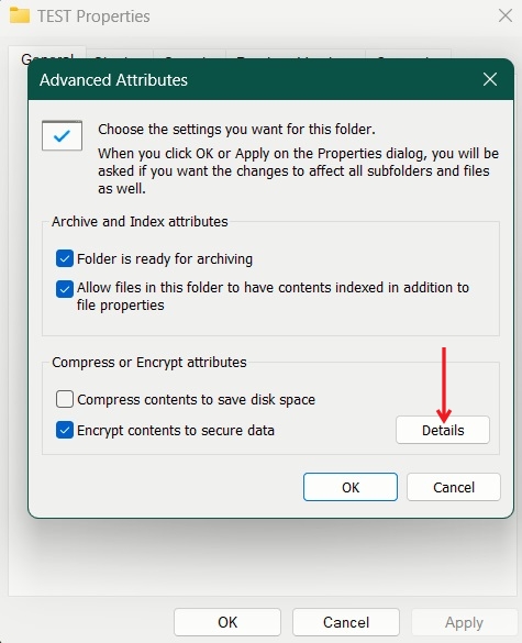 Clicking Details button in Advanced Attributes window. 
