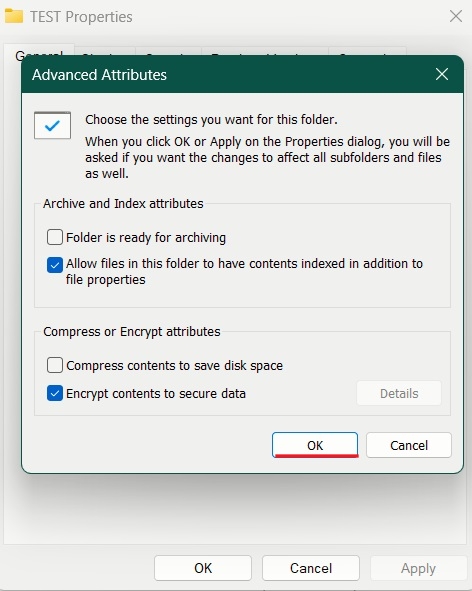 Ticking "Encrypt contests to secure data" box in Advanced Attributes window.