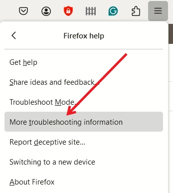 Reduce Firefox Memory Usage More Troubleshooting Information