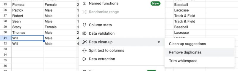 Remove Google Sheets duplicates using the data option.