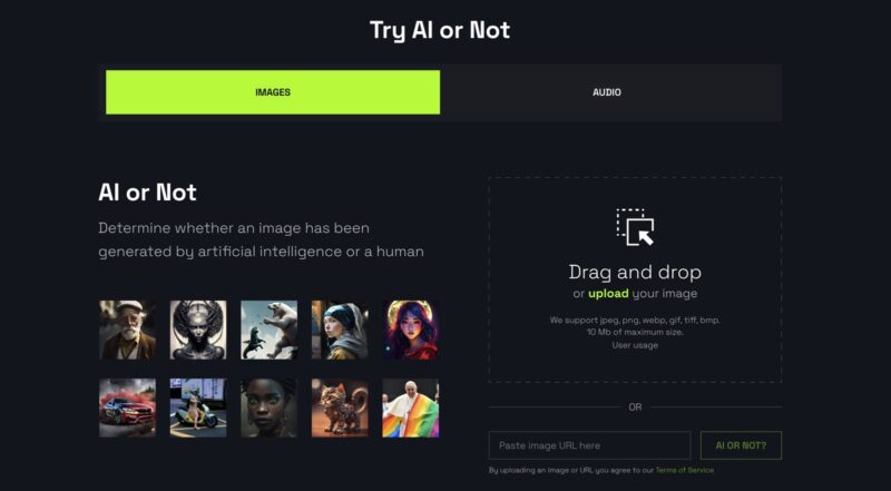 Screenshot Of Ai Or Not