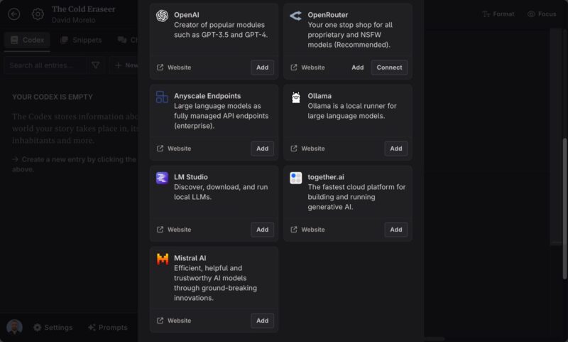 Screenshot Of Novelcrafter Ai Settings