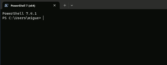 A PowerShell 7 window open with its prompt