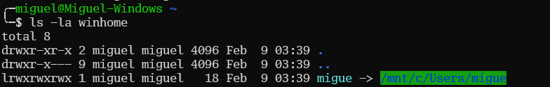 Listing the windows home directory from within WSL after creating a symbolic link