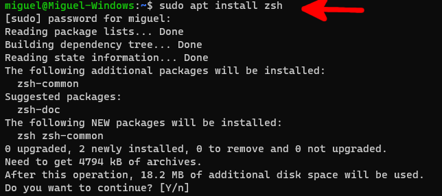 Demonstrating Zsh installation within WSL