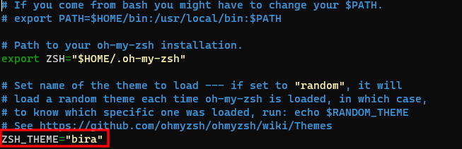 Setting Zsh theme under Oh My Zsh with the Nano editor
