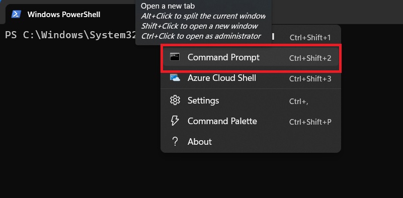 Open Command Prompt from within the Windows Terminal.
